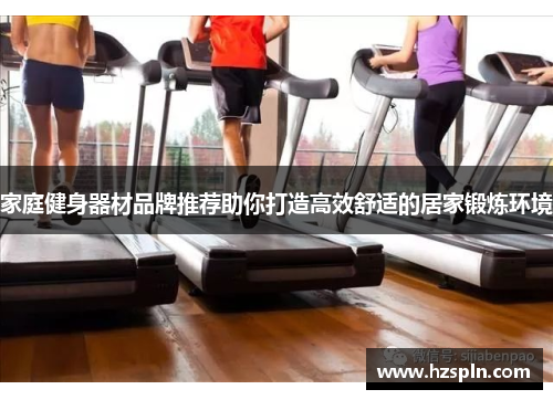 家庭健身器材品牌推荐助你打造高效舒适的居家锻炼环境