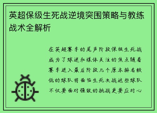 英超保级生死战逆境突围策略与教练战术全解析